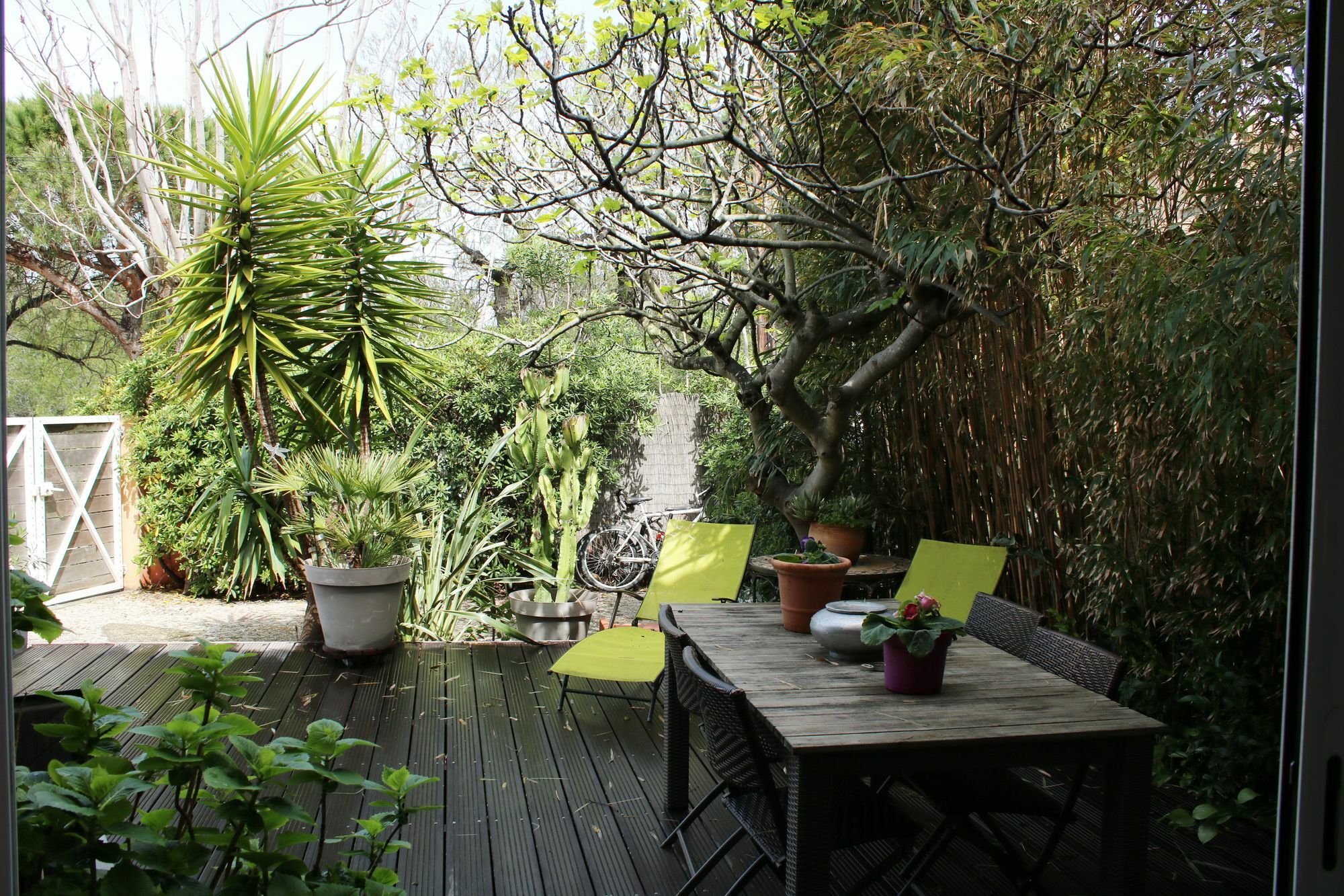 Villa Mon Reve Hyères Exteriér fotografie